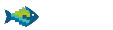 Fatfish web and mobile development- פאטפיש עיצוב ופיתוח אינטרנט ומובייל