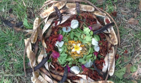 מנדלה פרסומים מנדלה פרסומים