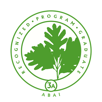 ABAI LOGO