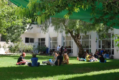 מדשאת המכללה - סטודנטים יושבים על הדשא