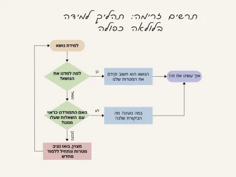 תרשים זרימה תהליך למידה רגיל בלולאה אחת