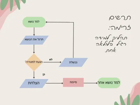 תרשים זרימה תהליך למידה רגיל בלולאה כפולה