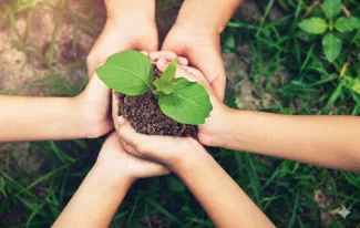 hands holding a green plant and dirt