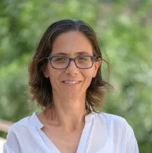 הוניג-קידר מיקי